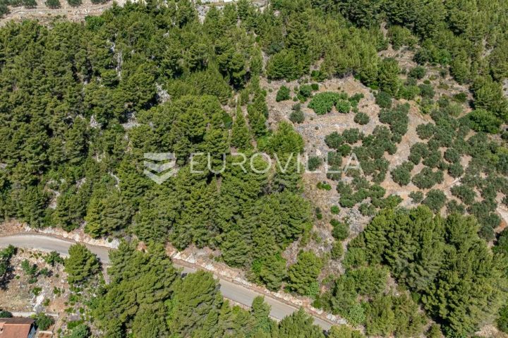 Parcela Naprodaj - Dubrovačko-neretvanska Blato - foto 3/6