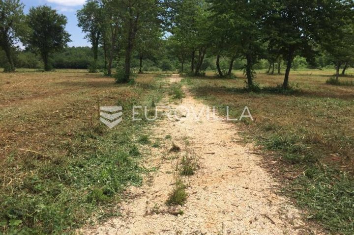 Grundstück Zu verkaufen - Istarska Poreč - foto 2/11