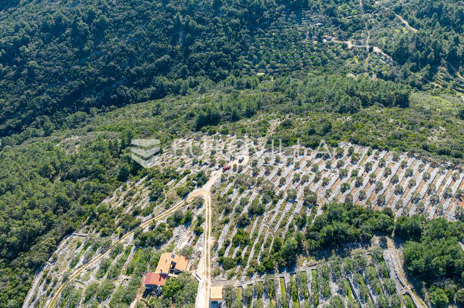 Terrain À vendre -  Blato