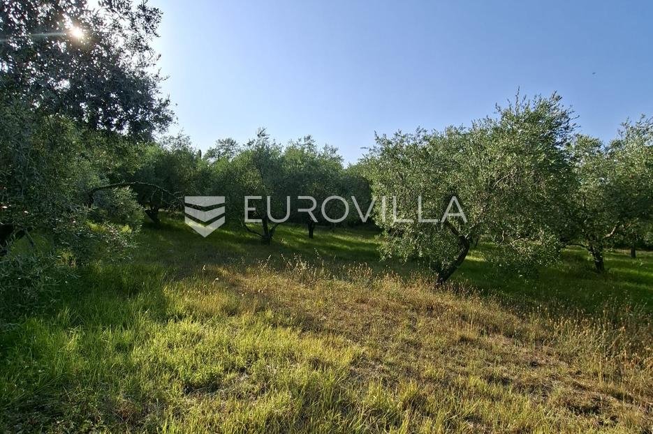 Terrain À vendre - Zadarska Pašman - foto 1/4