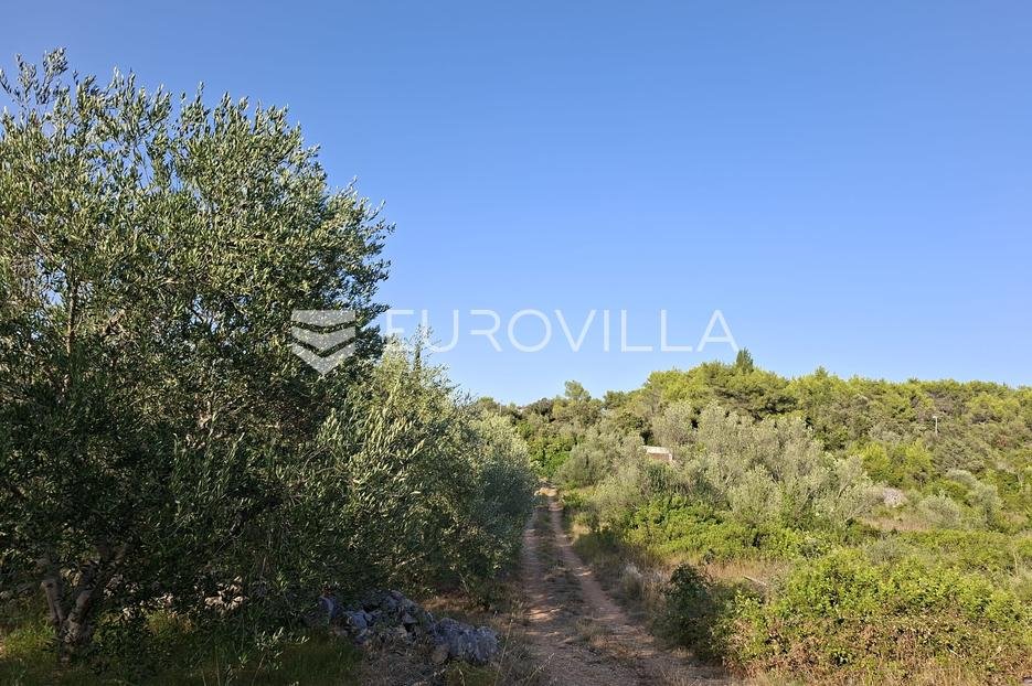 Terrain À vendre - Zadarska Pašman - foto 4/4
