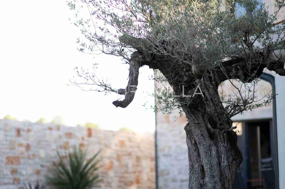 Dom Na predaj - Istarska Vižinada