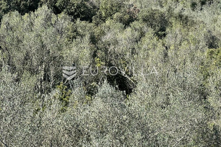 Land For sale - Kukljica - foto 4/4