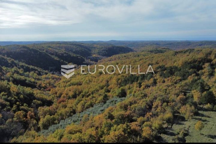 Pozemok na predaj 4137 m² – Momjan