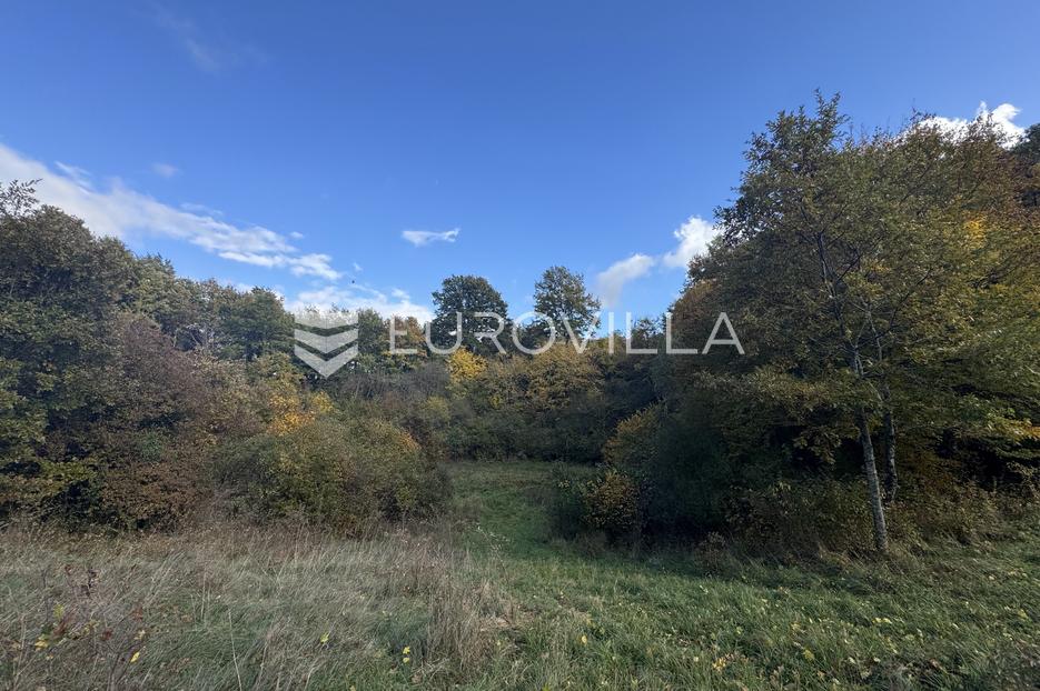Land For sale -  Pazin - Okolica