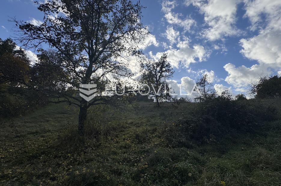 Land For sale -  Pazin - Okolica