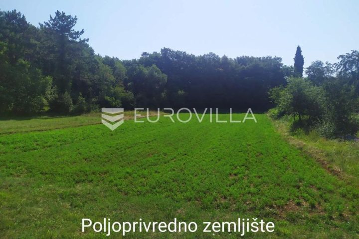 Parcela Naprodaj - Istarska Tinjan - foto 4/4