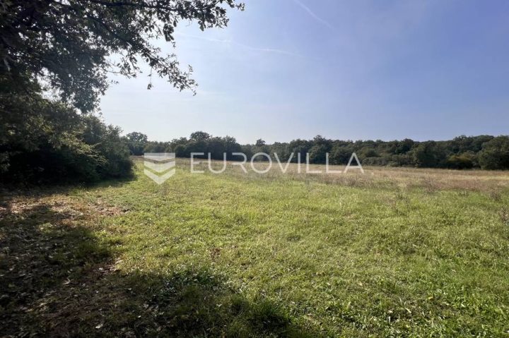 Pozemok na predaj 1000 m² – Prodol