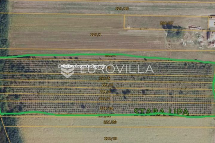Terrain à vendre 44058 m² – Stara Lipa