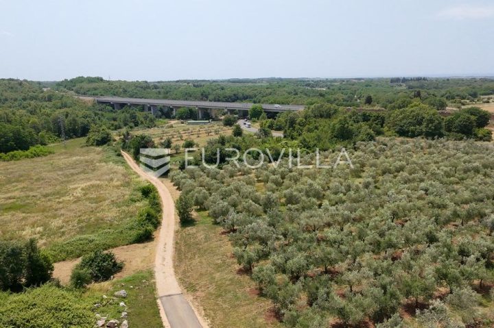 Terreno In vendita - Istarska Brtonigla - foto 4/7