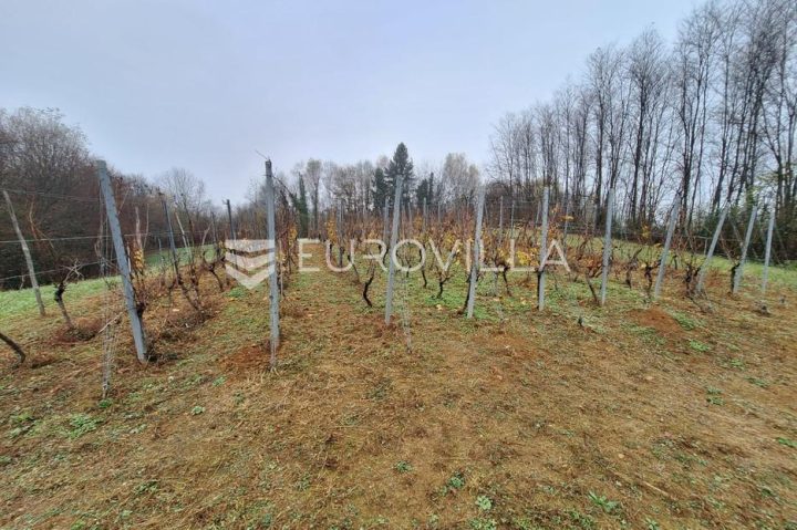 Land for sale 1400 m² – Galović Selo