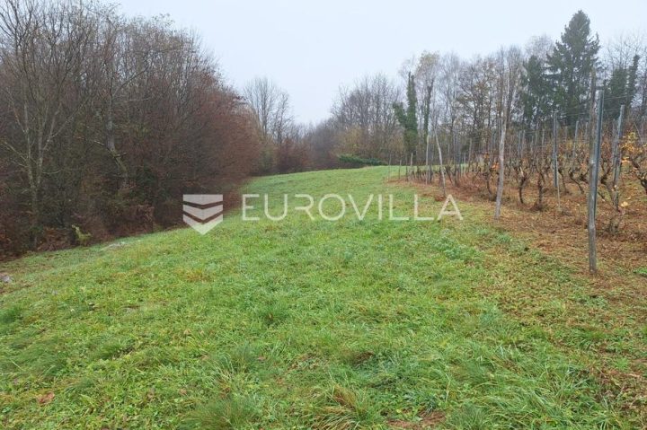 Pozemok Na predaj - Karlovačka Duga Resa - foto 4/5