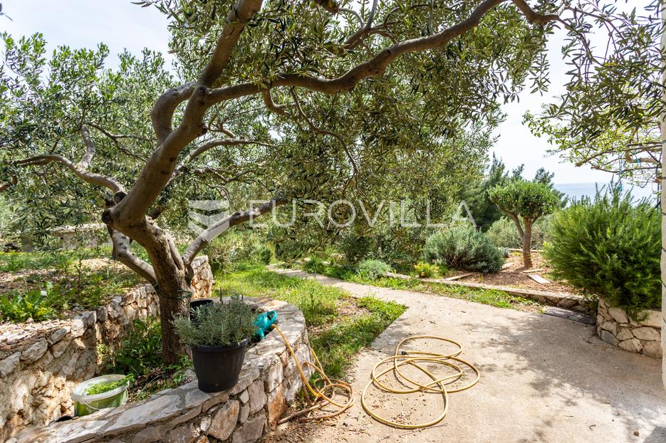 Haus Zu verkaufen -  Hvar
