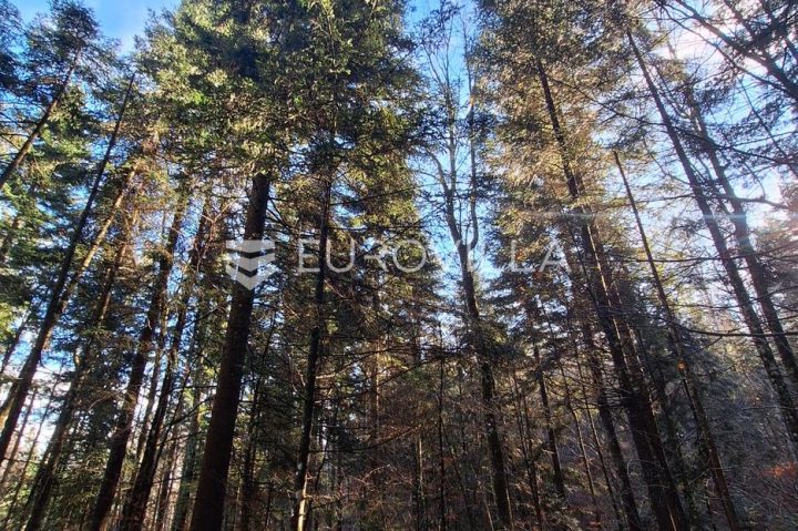 Zemljište na prodaju 31000 m² – Lukovdol