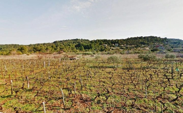Grundstück zu verkaufen 6367 m² – Dračevo Polje