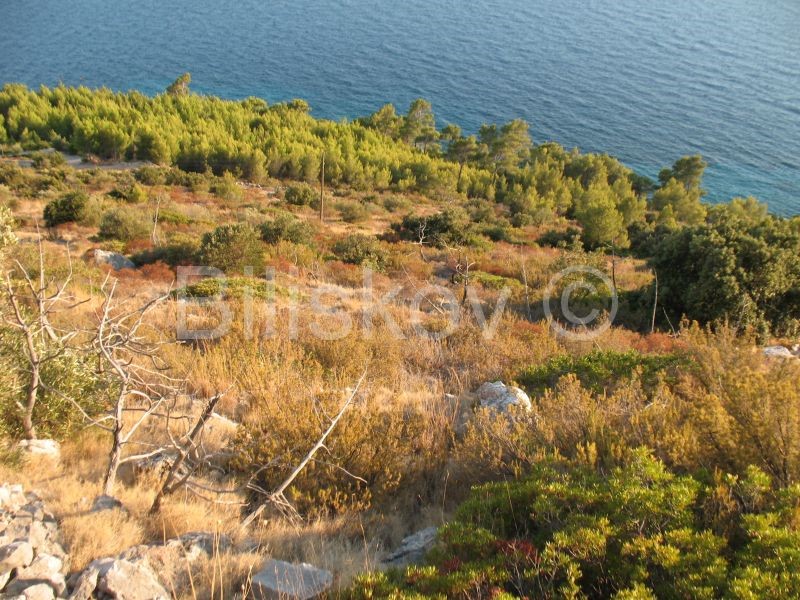 Zemljište Na prodaju - SPLITSKO-DALMATINSKA  HVAR 