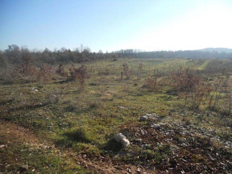 Land For sale - ISTARSKA  POREČ 