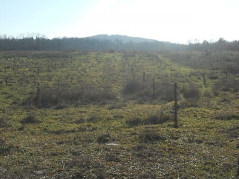 Land For sale - ISTARSKA  POREČ 