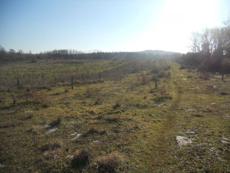 Land For sale - ISTARSKA  POREČ 