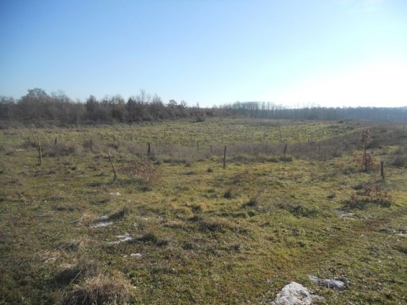 Land For sale - ISTARSKA  POREČ 