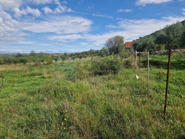 Land For sale Polača