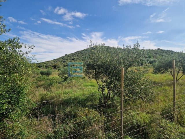 Pozemek na prodej 977 m² – Polača