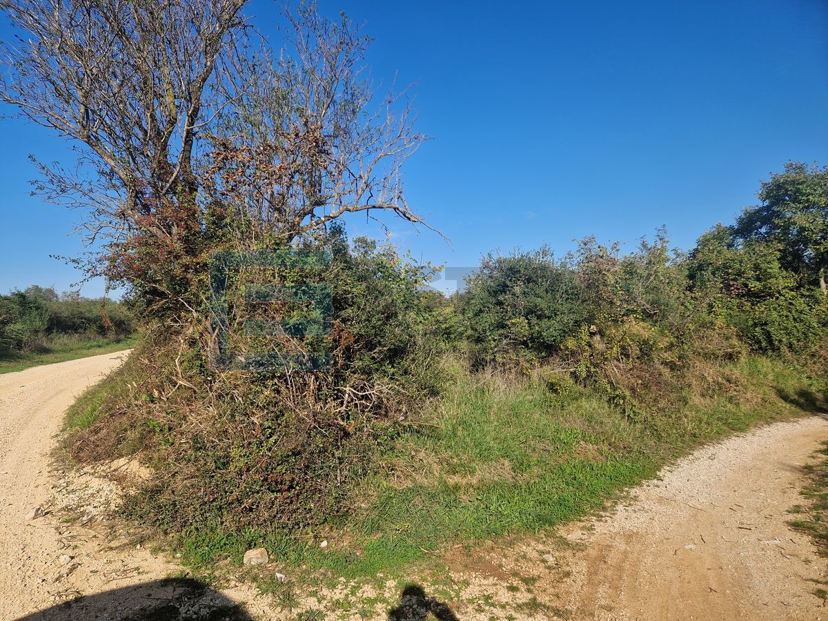 Terreno In vendita - Zadarska Sveti Filip I Jakov - foto 2/4