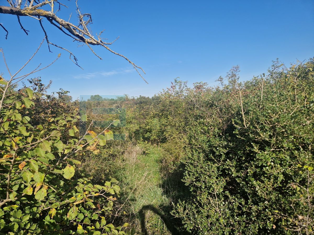 Terreno In vendita - Zadarska Sveti Filip I Jakov - foto 3/4