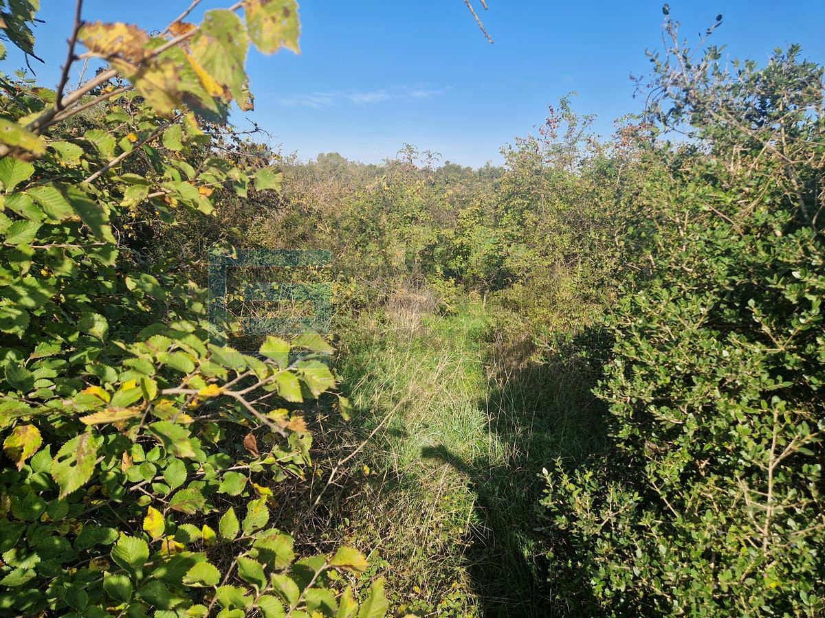 Terreno In vendita - Zadarska Sveti Filip I Jakov - foto 4/4