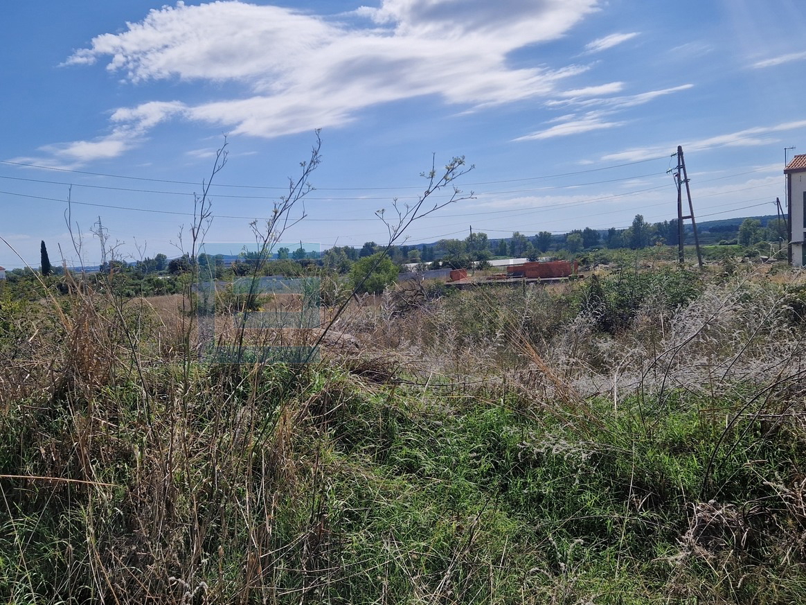 Land For sale - Kakma - foto 3/7