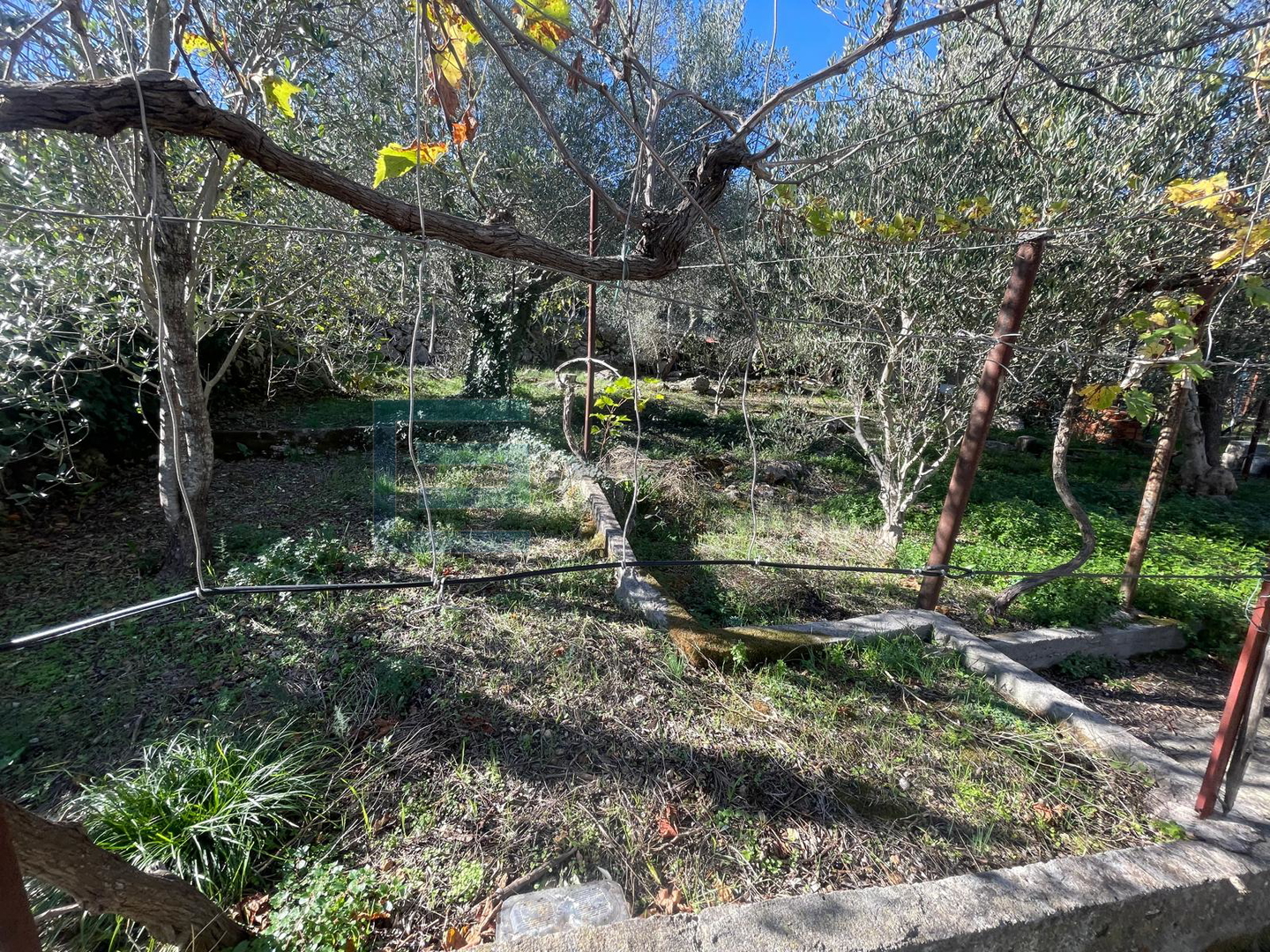 Land For sale - ždrelac - foto 5/6