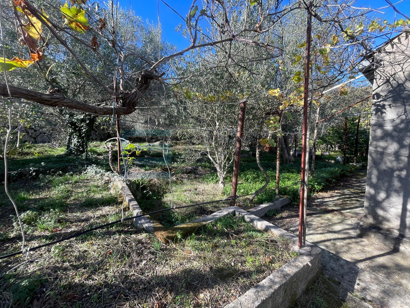 Land For sale -  Ždrelac