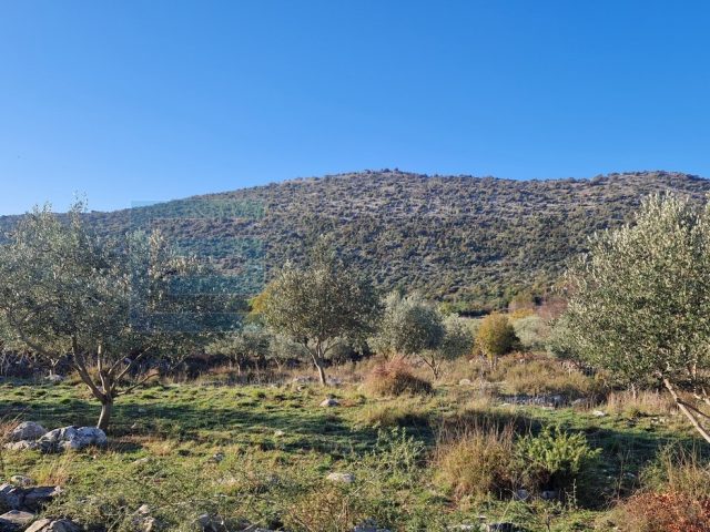 Land For sale Donja Jagodnja