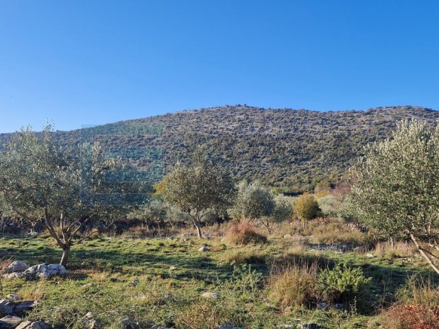 Zemljište na prodaju 1977 m² – Donja Jagodnja