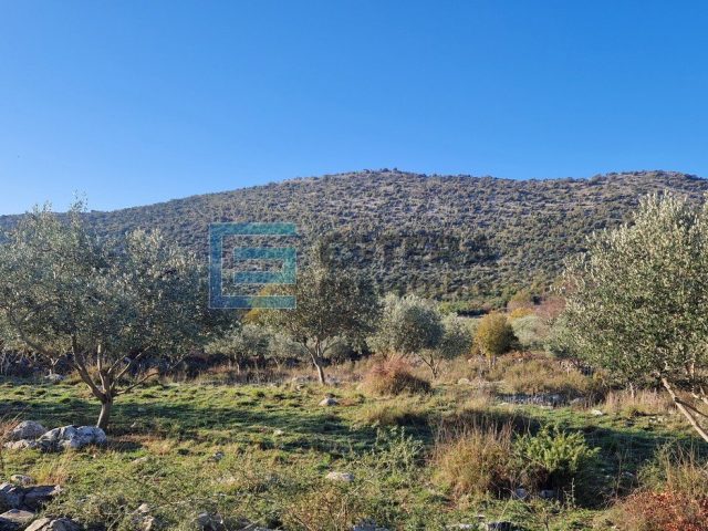 Pozemek na prodej 1977 m² – Donja Jagodnja