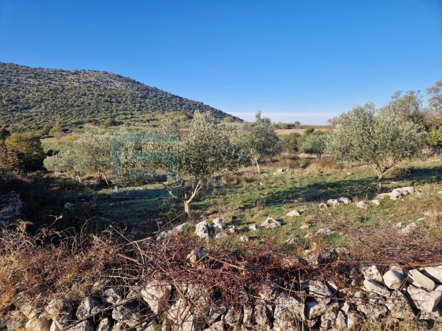 Zemljište Na prodaju - Zadarska Donja Jagodnja - foto 2/3