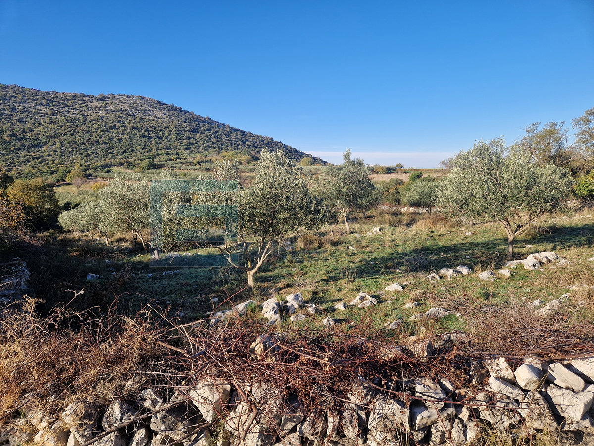 Land For sale - Donja Jagodnja - foto 2/3