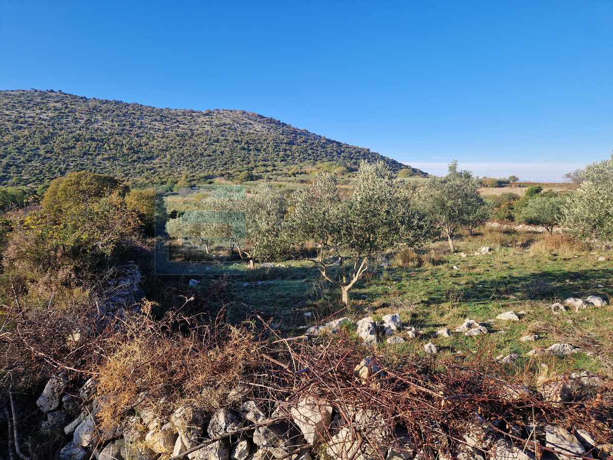 Land For sale - Donja Jagodnja - foto 3/3
