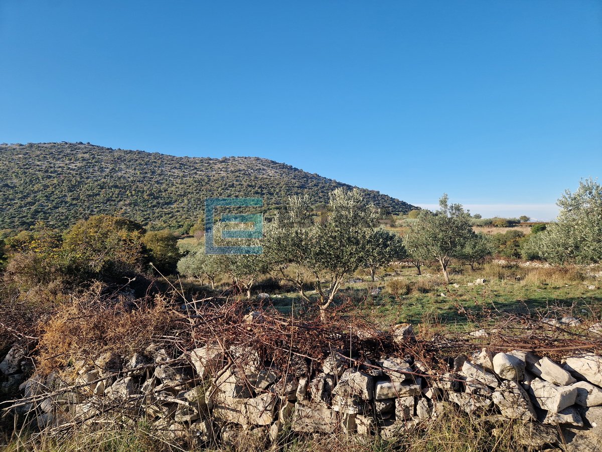 Parcela Naprodaj - Zadarska Donja Jagodnja