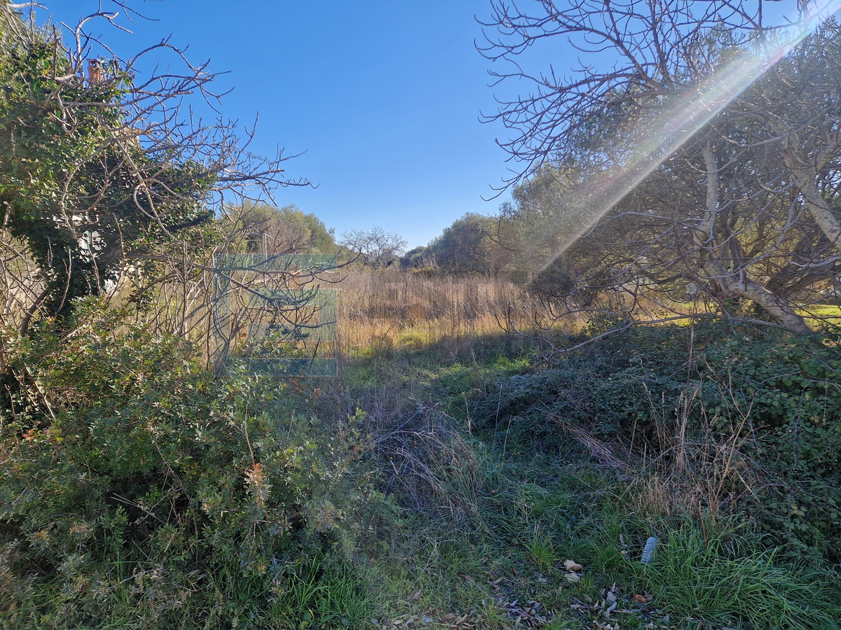 Grundstück Zu verkaufen - Zadarska Biograd Na Moru - foto 3/5