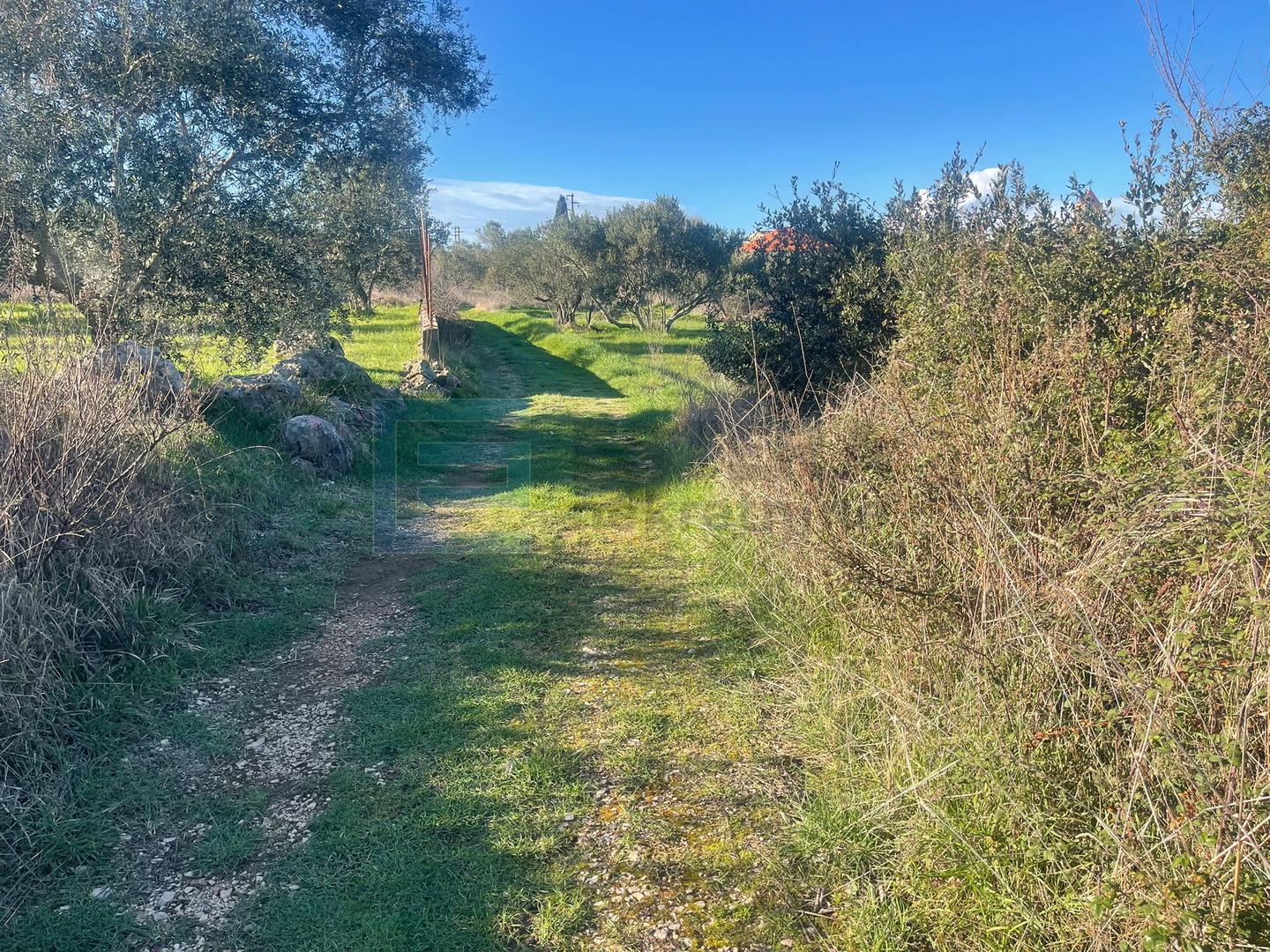 Land For sale - Mrljane - foto 3/5