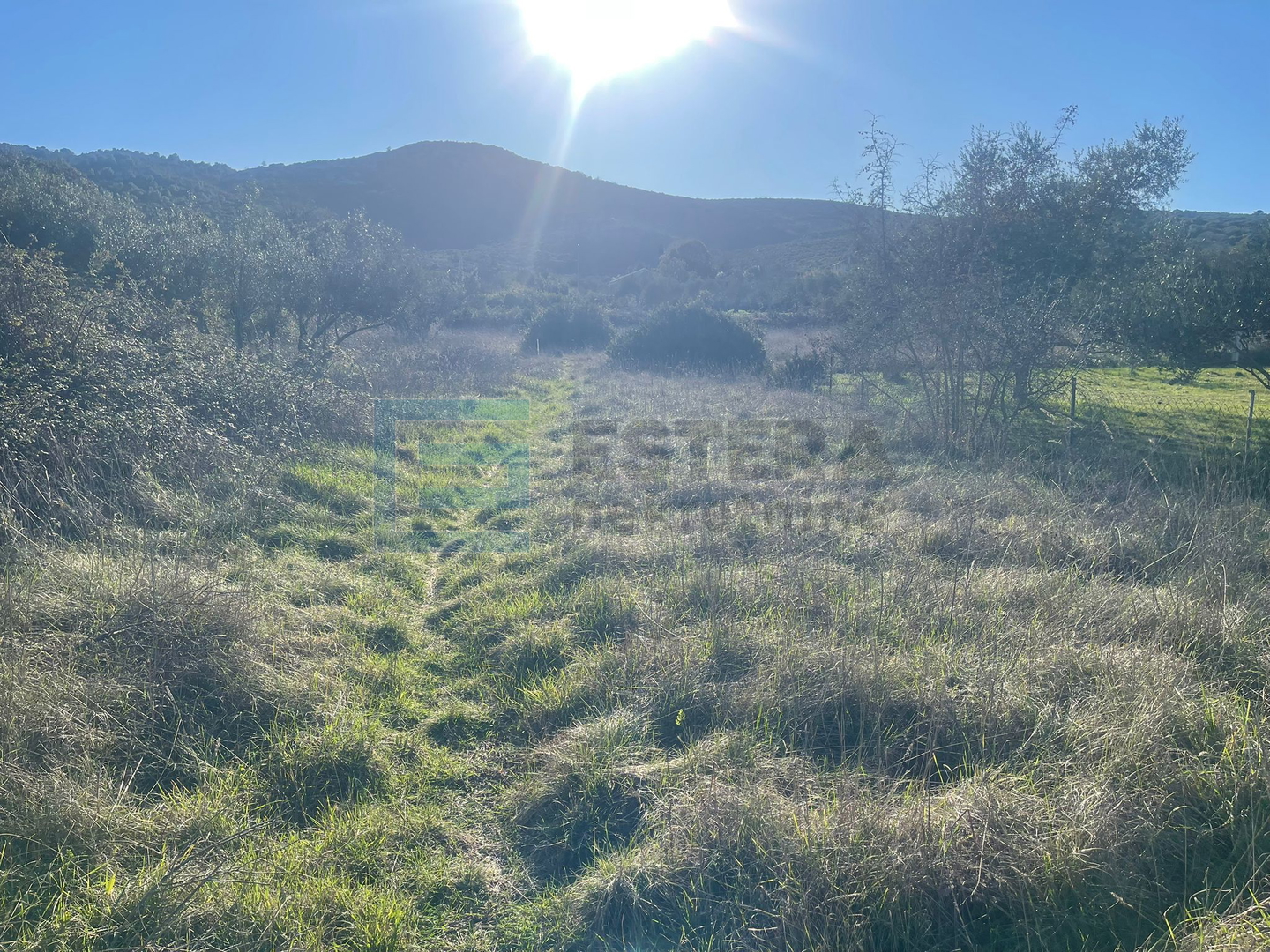 Land For sale - Mrljane - foto 5/5