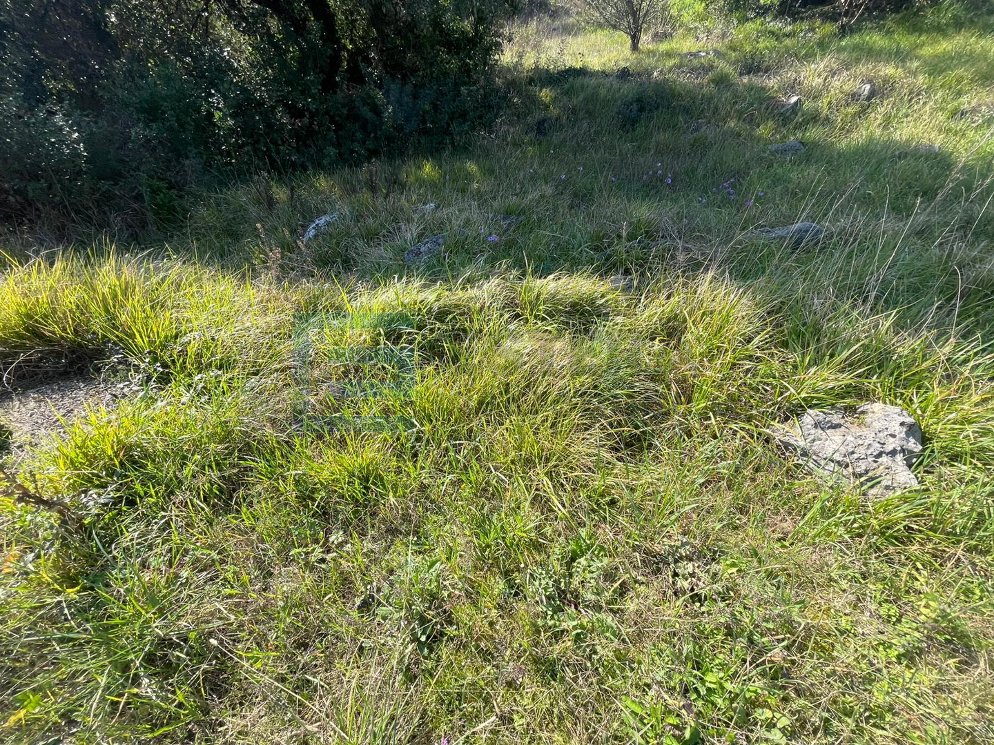Land For sale - ždrelac - foto 3/3