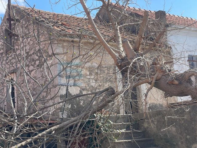 House For sale - Zadarska Pašman - foto 3/5