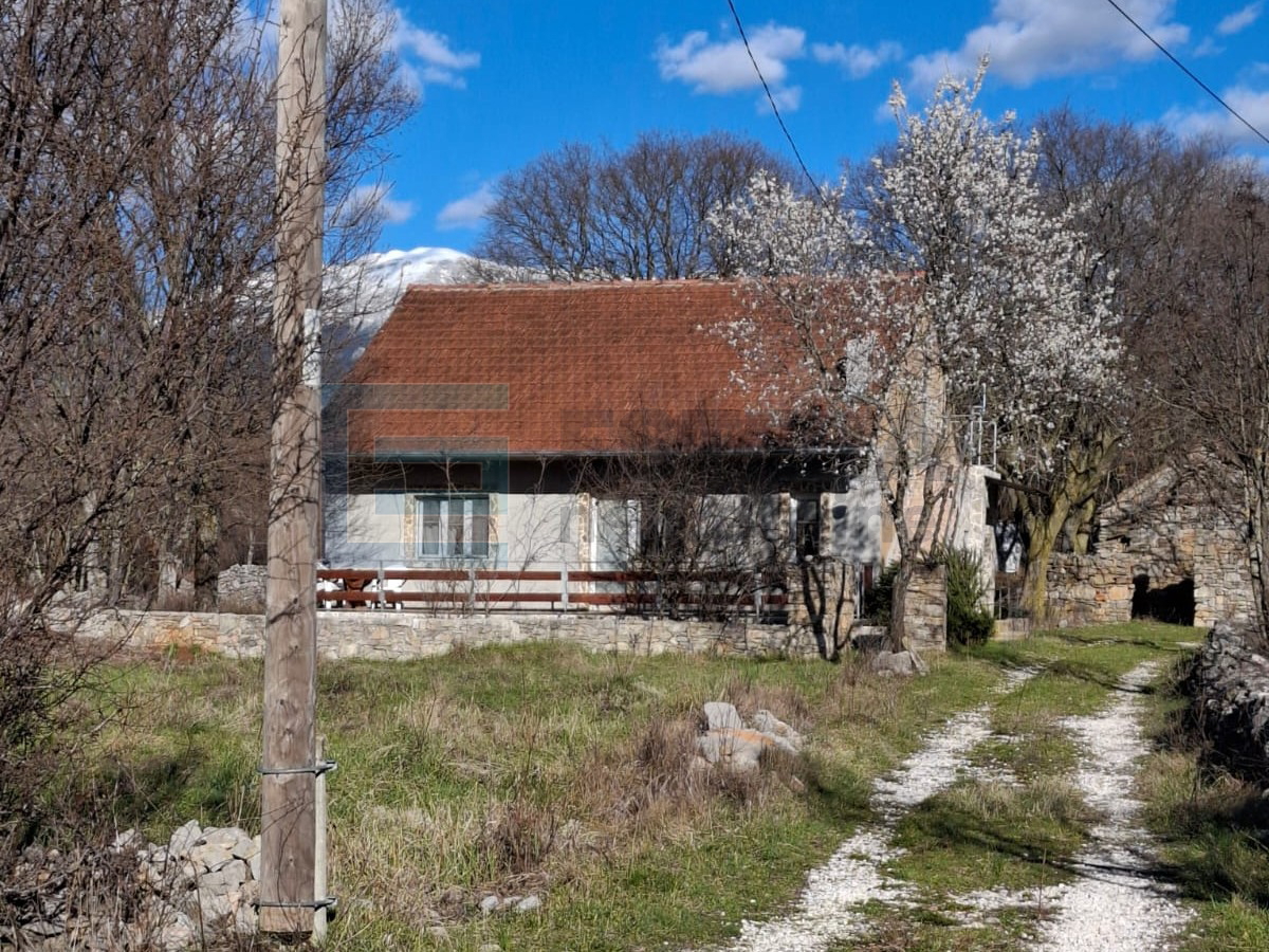 House For sale - Polača - foto 1/15