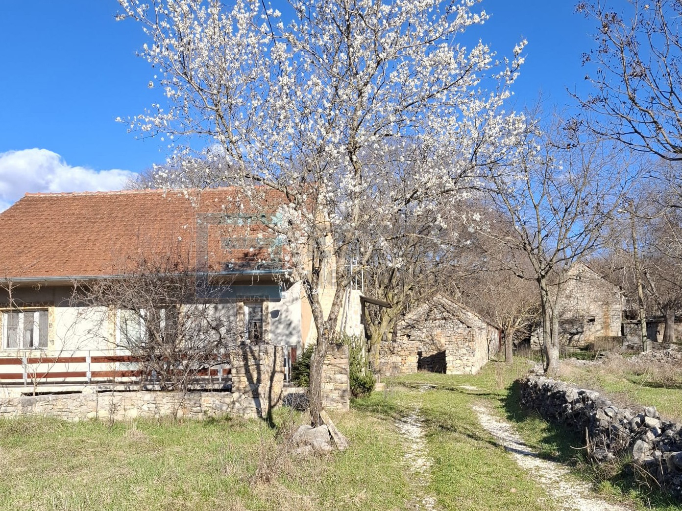 House For sale - Polača - foto 2/15