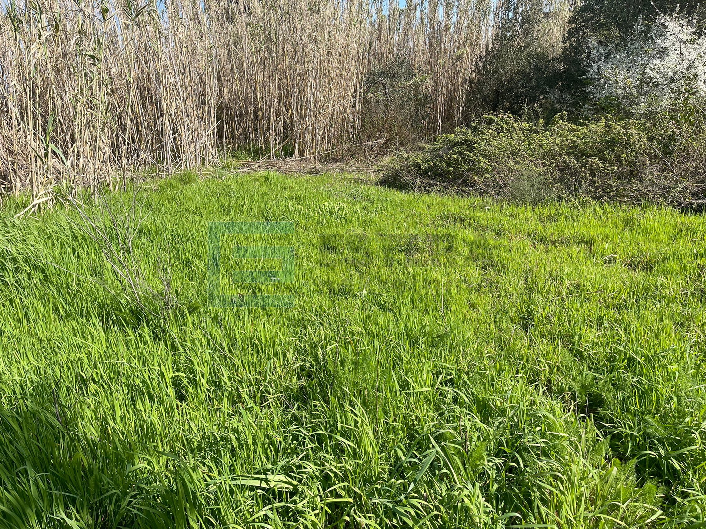 Land For sale - Pašman - foto 3/3