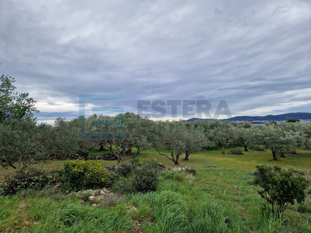 Terreno In vendita - Zadarska Sveti Filip I Jakov - foto 2/4