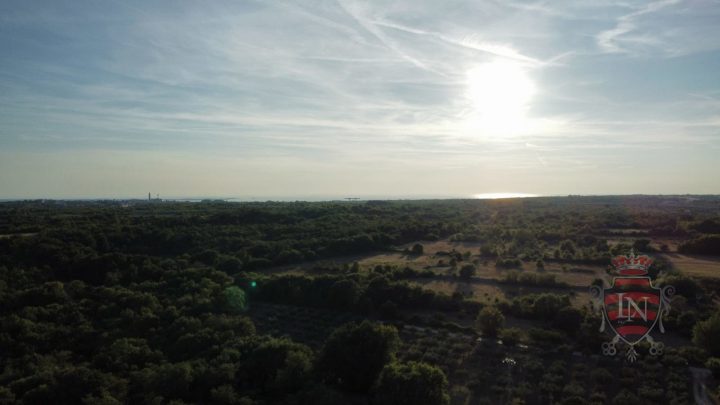Grundstück Zu verkaufen - Istarska županija Vodnjan - foto 2/6