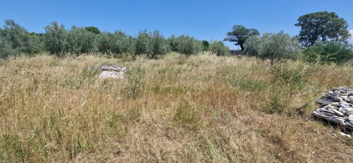 Zemljište Na prodaju - Zadarska Briševo - foto 2/4